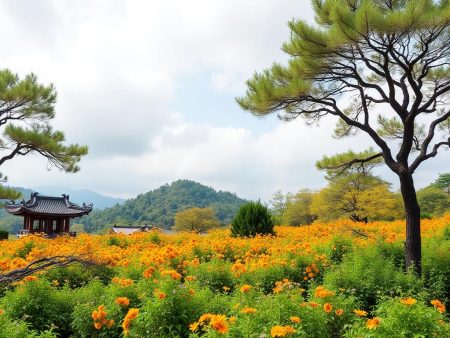 鈦鑫娛樂城：最新優惠活動大公開