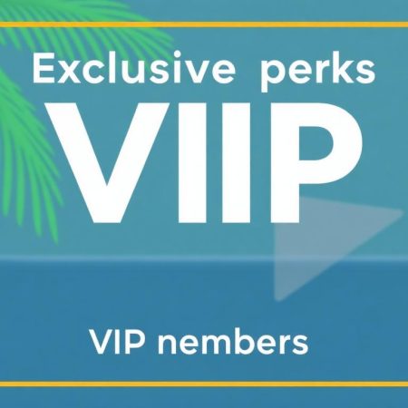 高級VIP會員專屬禮遇揭密